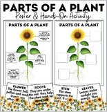 PARTS OF A PLANT | Poster & Hands-On Activity | How to Gro