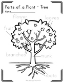 PARTS OF A PLANT - TREE | Botany Labeling Printable | Mont