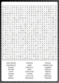 PARTS OF A PLANT Word Search Puzzle No prep Activity Worksheets ...