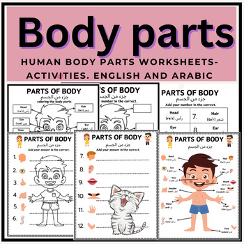 Preview of PARTS OF BODY