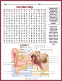 PARTS OF THE EAR Anatomy Word Search Puzzle Worksheet Activity