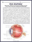 PARTS OF THE EYE ANATOMY Word Search Puzzle Worksheet Activity