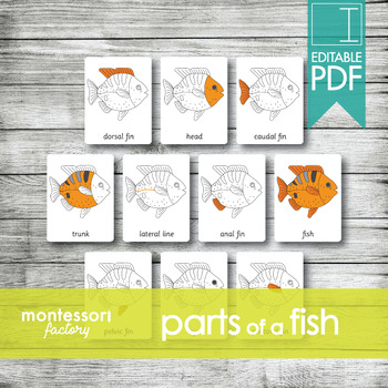 Preview of PARTS of a FISH • Montessori Cards • Flash Cards • Three Part Cards