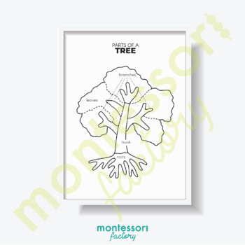 Preview of PARTS of a TREE Science Kid Room Wall Art Montessori Educational Poster Chart