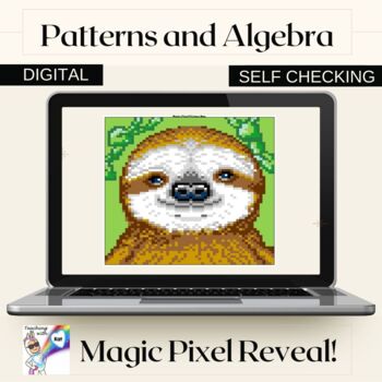 Preview of PATTERNS AND ALGEBRA Digital Magic Picture Reveal Google Sheets and Excel
