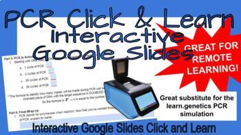 Preview of PCR Click & Learn (interactive google slides)