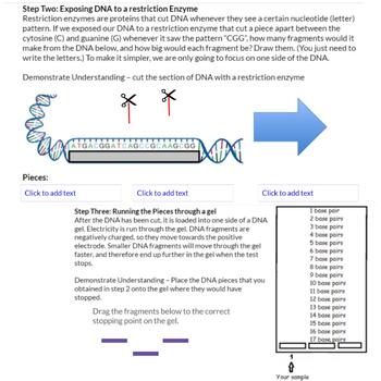 PCR / Gel Electrophoresis P... by Grace Pokela | Teachers Pay Teachers