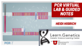 PCR Guided Notes for Virtual Lab