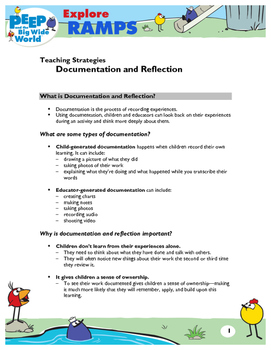 Preview of PD Handout: Using Documentation for Reflection in Ramps Unit