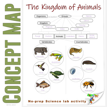 Kingdom of Animals Classification Concept Map Invertebrates and Vertebrates