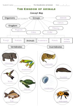 animal kingdom classification vertebrates invertebrates
