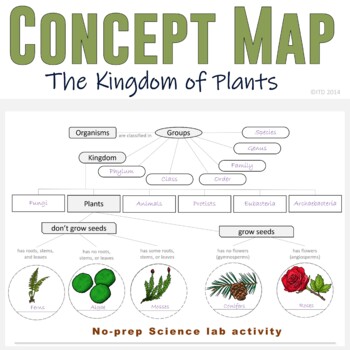 Kingdom of Plants Classification Concept Map (Grow Seeds and Don't Grow  Seeds)