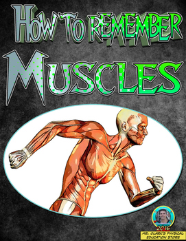 Preview of PE How to Remember your Muscles