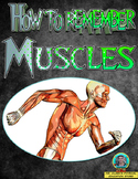 PE How to Remember your Muscles