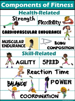 PE Poster: Components of Fitness- Health and Skill-Related