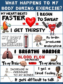 Preview of PE Poster: What Happens to my Body During Exercise?