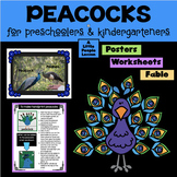 PEACOCKS for Preschoolers & Kindergarteners: Posters, Info