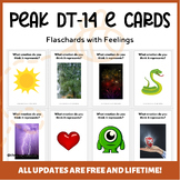 PEAK DT-14 E: Flashcard ABA Therapy for Emotional Vocabulary