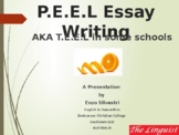 PEEL Writing (Essays & Paragraphs)