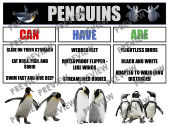 Preview of PENGUINS Anchor Chart