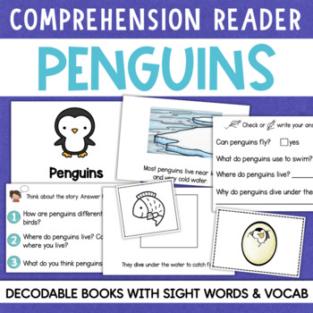 Preview of PENGUINS Decodable Reader Comprehension Penguin Vocabulary Mini Book