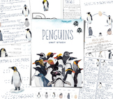 PENGUINS Unit Study, Life Cycle, Anatomy, Nature Study, Science