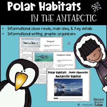 Preview of PENGUINS live at the South Pole! An Antarctic Habitat