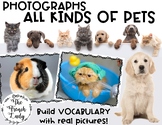 PETS - Picture Prompts for Speaking & WRITING (JPG's for C