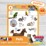 PETS Poster in SPANISH, ENGLISH, FRENCH, CHINESE. Ep 8