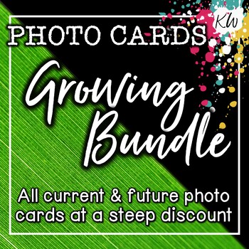 Preview of 31 sets of Picture FLASHCARDS (Vocabulary, Language, Basic Concepts, etc) BUNDLE
