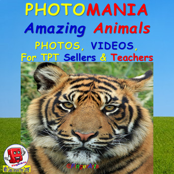 Preview of PHOTOMANIA: AMAZING ANIMALS Photos and Videos