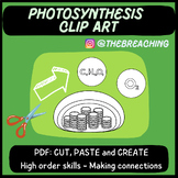 PHOTOSYNTHESIS CLIP ART: Cut, paste and create!