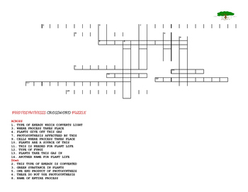 Preview of PHOTOSYNTHESIS CROSSWORD PUZZLE