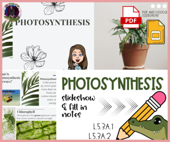 Preview of PHOTOSYNTHESIS * Lesson Bundle * Notes, Experiment, and Vocab Study Flower