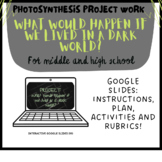 PHOTOSYNTHESIS PROJECT WORK: A dark world (Google Slides)