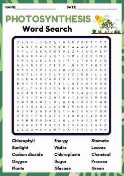 Preview of PHOTOSYNTHESIS Word search puzzle worksheet activity