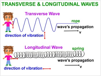 PHYSICS: WAVES: Longitudinal & Transverse Waves Properties. Test Prep
