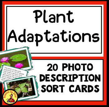 Preview of PLANT ADAPTATIONS 20 Photo and Matching Description Sort Task Cards Activity