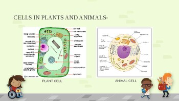 PLANT CELL by BIEN Biology | Teachers Pay Teachers