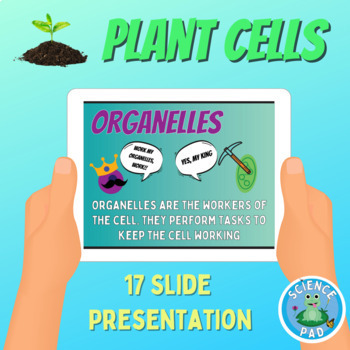 Preview of PLANT CELL PRESENTATION | Slides Biology | Lesson Plan | Middle School