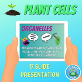 PLANT CELL PRESENTATION | Slides Biology | Lesson Plan | M