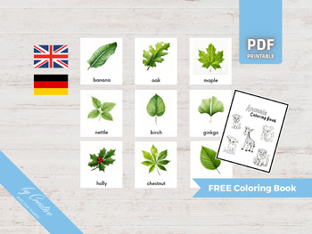 Preview of PLANT LEAVES • 24 Montessori Cards • Flash Cards German English • Nomenclature