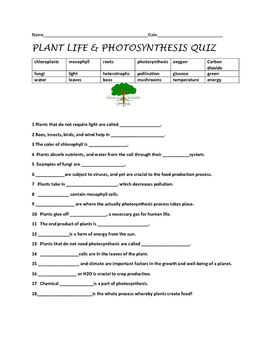 Preview of PLANT LIFE & PHOTOSYNTHESIS QUIZ, GRADES 5-8