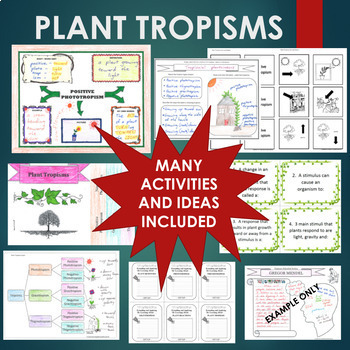 Preview of PLANT TROPISMS BUNDLE - Gravitropism, Phototropism, Thigmotropism Plants
