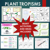 PLANT TROPISMS BUNDLE - Gravitropism, Phototropism, Thigmo