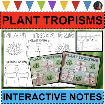 Preview of PLANT TROPISMS Interactive Flip Notes Differentiated Life Science Biology Plants