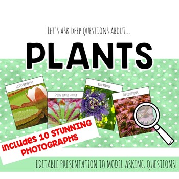 Preview of PLANT UNIT: Analyze Photographs & Ask Deep Questions | MODEL/WHOLE GROUP SLIDES