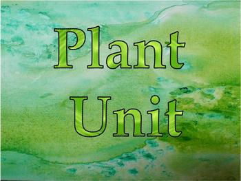 Preview of PLANT UNIT POWERPOINT