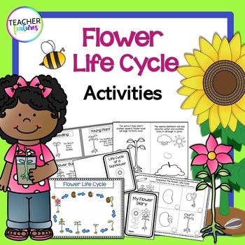 Preview of FLOWER LIFE CYCLE