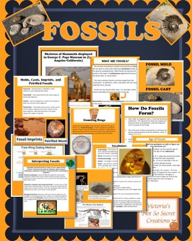 PLANTS AND ANIMALS FOSSILS POWERPOINT with Vocabulary Page by VICTORIA C